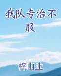 我队专治不服