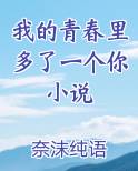 我的青春里多了一个你小说
