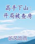 高手下山：开局被查房