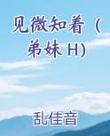 见微知着（弟妹 H）