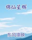 锦灿星辉